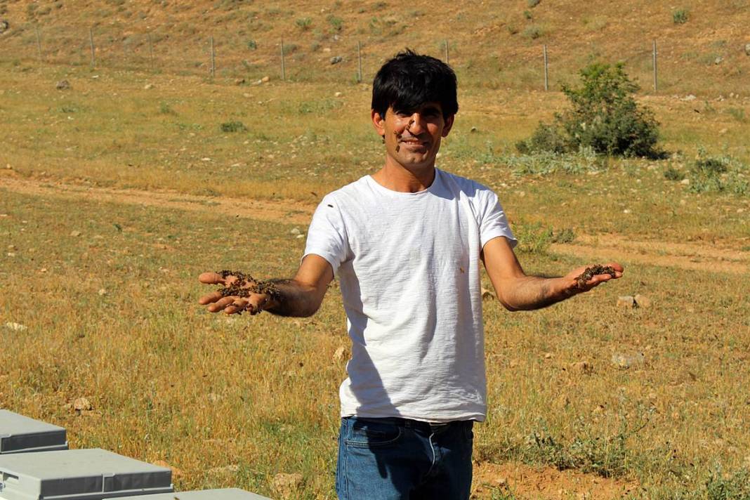 Arılarla dans eden adam: Kovanların yeni süper kahramanı! Bal gibi insan, arıların yakın dostu 6